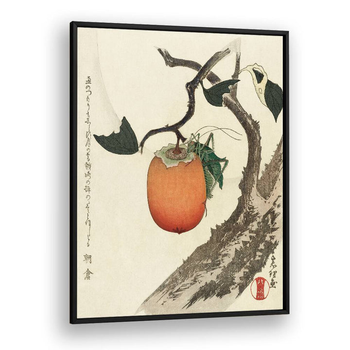 KAKIVRUCHT MET SPRINKHAAN, VINTAGE PAINTINGS