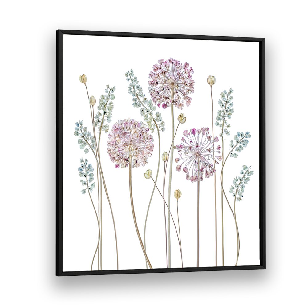 Elegant ALLIUM II, FLORAL FLOWER PAINTINGS showcasing delicate blooms, perfect for elevating any home décor.
