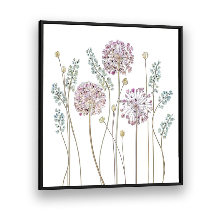 Elegant ALLIUM II, FLORAL FLOWER PAINTINGS showcasing delicate blooms, perfect for elevating any home décor.