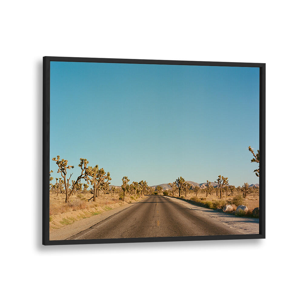 JOSHUA TREE ROAD , PHOTOGRAPHY PRINTS