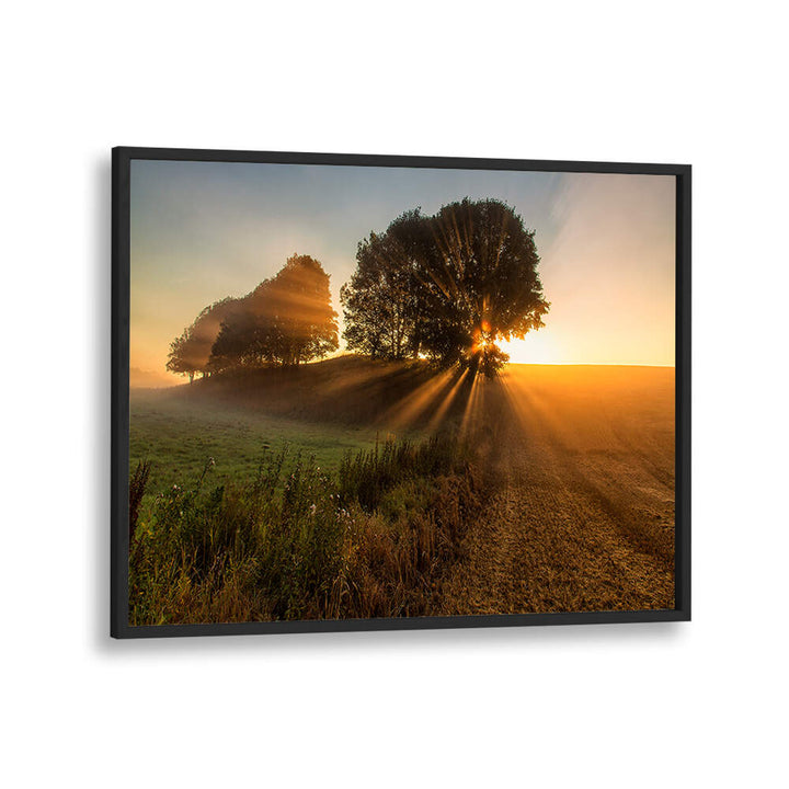 SUNBEAMS , PHOTOGRAPHY PRINTS