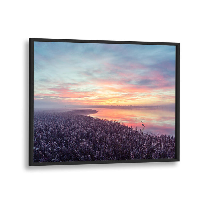 THE HERON'S MORNING VIEW , PHOTOGRAPHY PRINTS