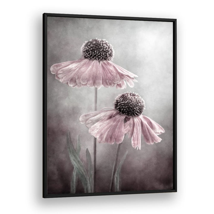 Elegant DUET, FLORAL FLOWER PAINTINGS showcasing delicate blooms, perfect for enhancing your home decor.