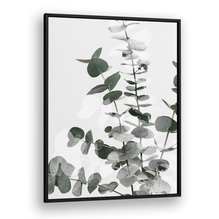 EUCALYPTUS CREATIVE VI, FLORAL FLOWER PAINTINGS showcase vibrant eucalyptus leaves, enhancing any living space beautifully.