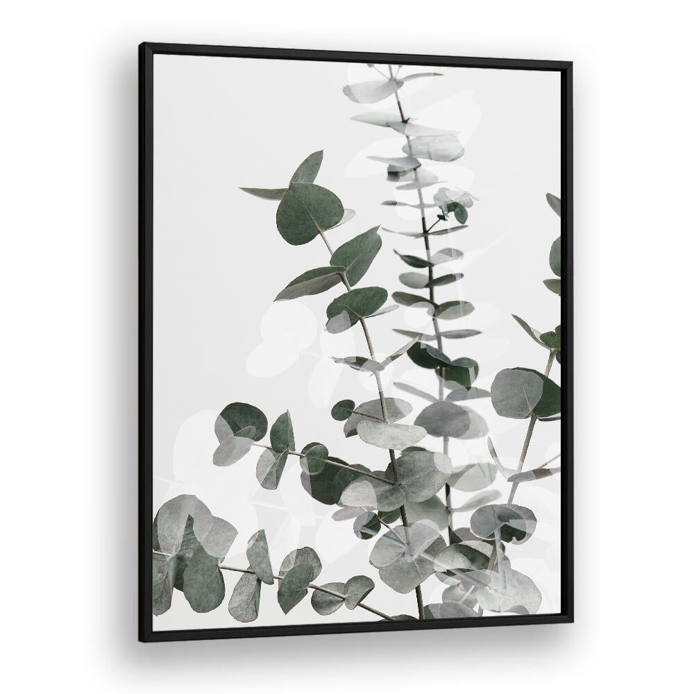 EUCALYPTUS CREATIVE VI, FLORAL FLOWER PAINTINGS showcase vibrant eucalyptus leaves, enhancing any living space beautifully.