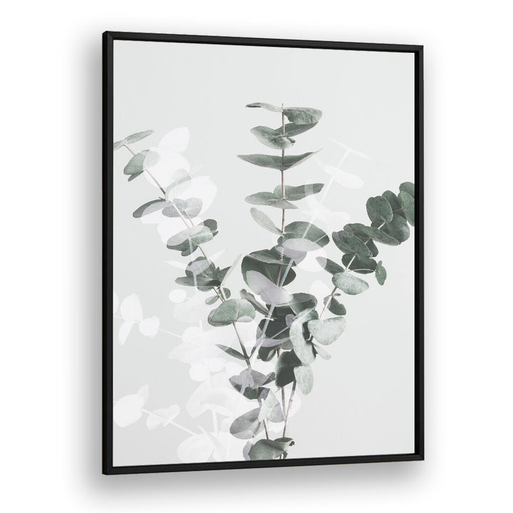 Elegant eucalyptus leaves featured in EUCALYPTUS CREATIVE VII, FLORAL FLOWER PAINTINGS for vibrant home decor.