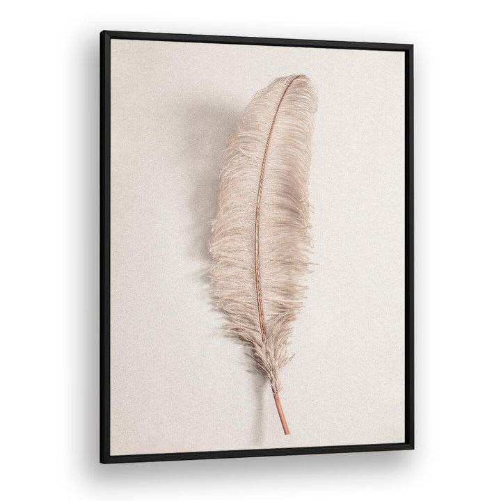 Elegant FEATHER II, BOHO ART PAINTINGS showcasing a delicate feather, perfect for enhancing your modern, bohemian decor.