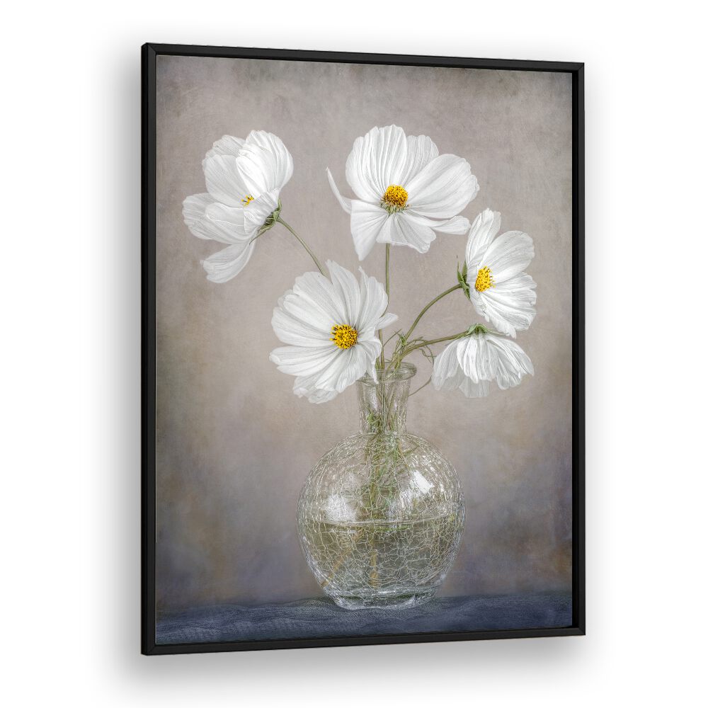 Beautiful white flowers in a vase from SIMPLY COSMOS, FLORAL FLOWER PAINTINGS collection, showcasing elegant simplicity.