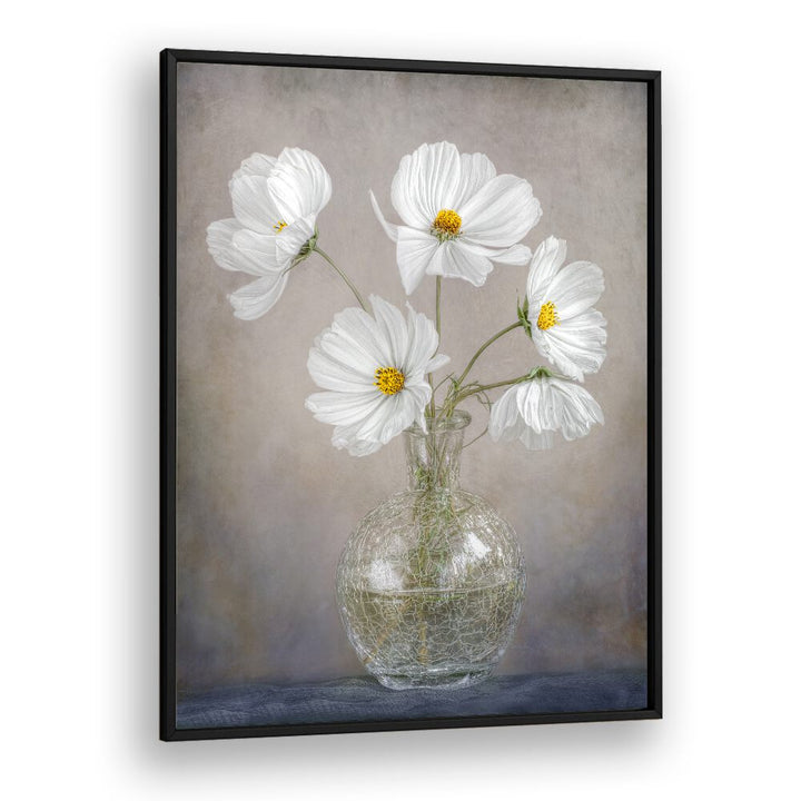 Beautiful white flowers in a vase from SIMPLY COSMOS, FLORAL FLOWER PAINTINGS collection, showcasing elegant simplicity.