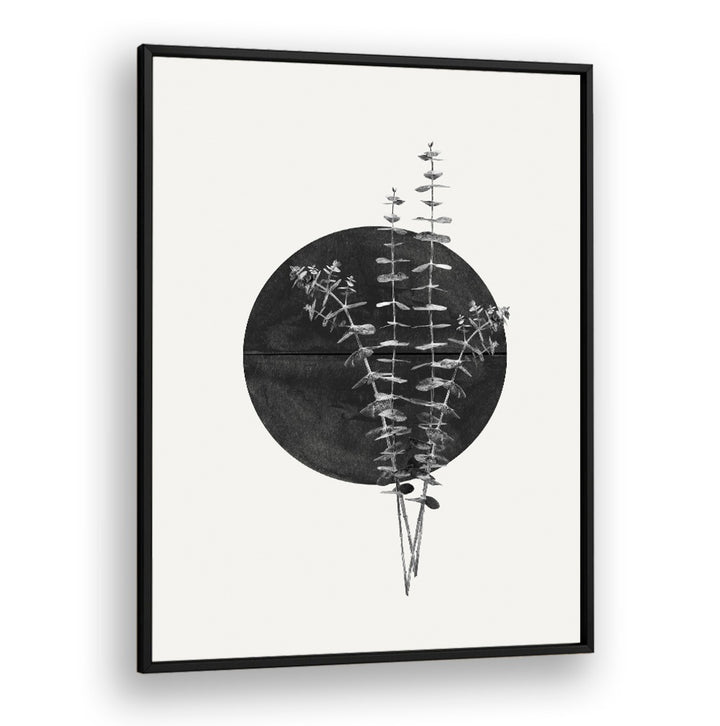 Stunning PLANT AND BLACK SUN, FLORAL FLOWER PAINTINGS featuring elegant botanical design, perfect for modern decor.