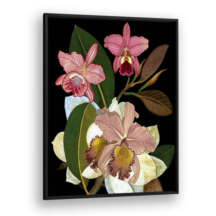 Stunning ORCHIDS II, FLORAL FLOWER PAINTINGS featuring vibrant blooms and lush leaves, perfect for home decor elegance.