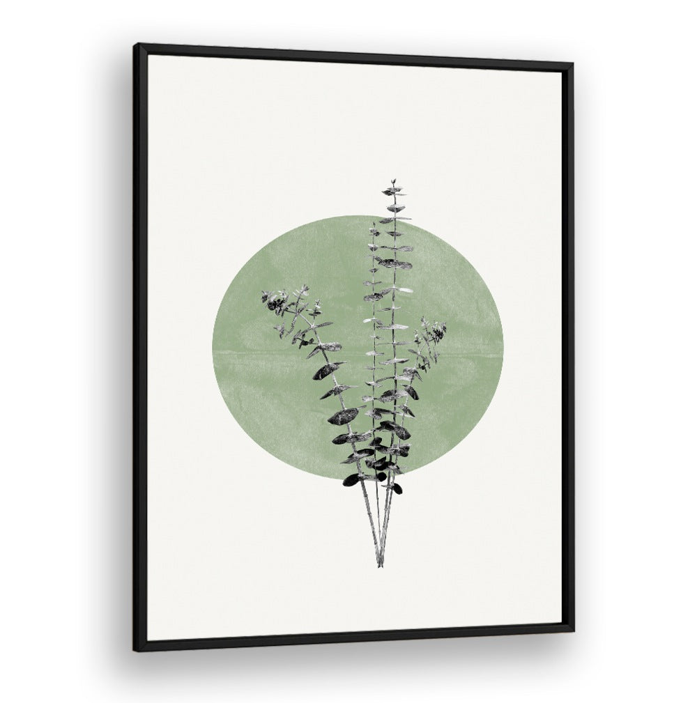 EUCALYPTUS AND GREEN MOON, FLORAL FLOWER PAINTINGS offer a modern touch to your living space with tranquil aesthetics.