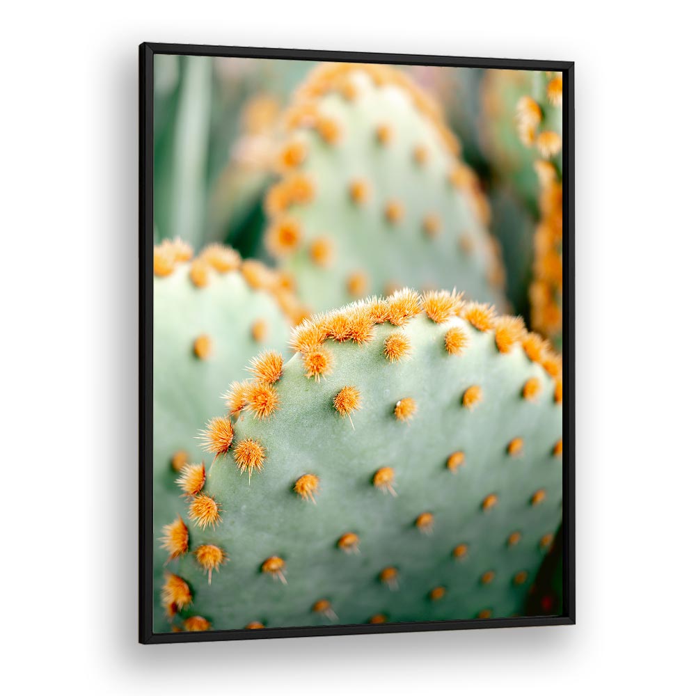 ORANGE AND GREEN II , PHOTOGRAPHY PRINTS