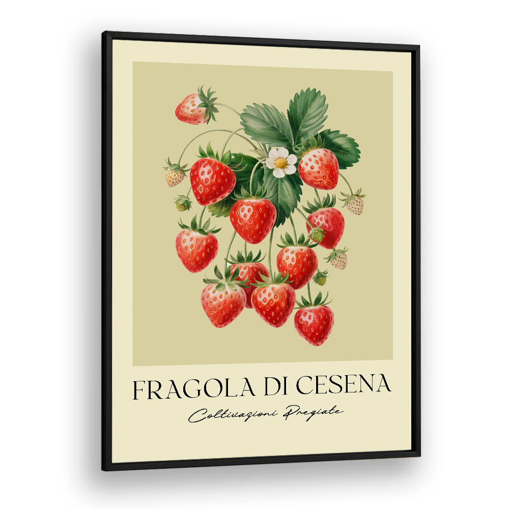 FRAGOLA DI CESENA , FLORAL FLOWER PAINTINGS