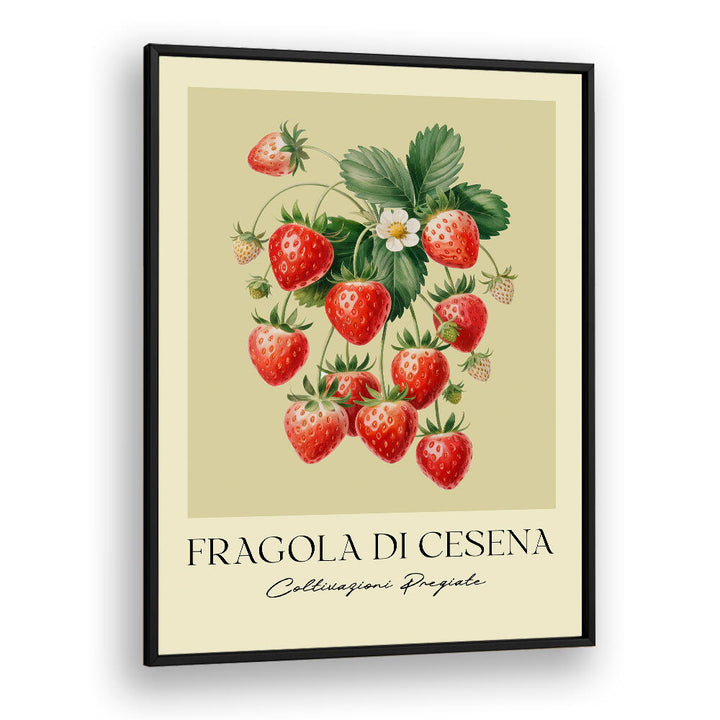 FRAGOLA DI CESENA , FLORAL FLOWER PAINTINGS