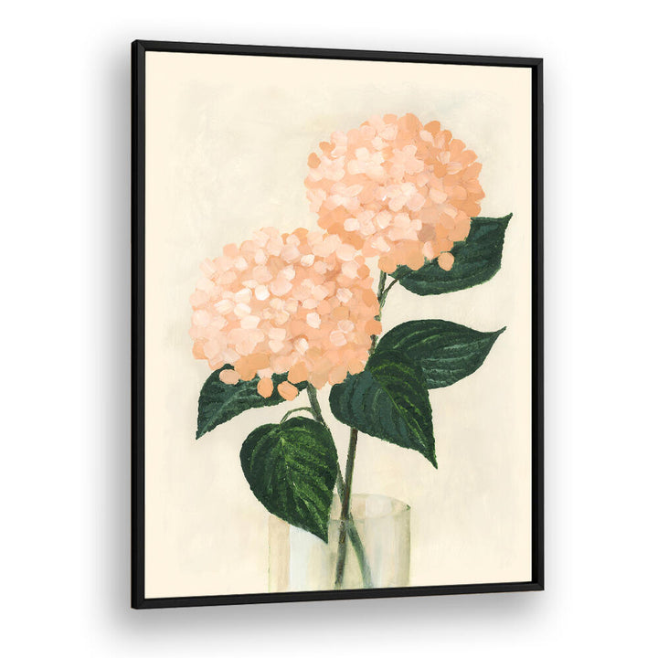CORAL HYDRANGEAS IN A VASE , FLORAL FLOWER PAINTINGS