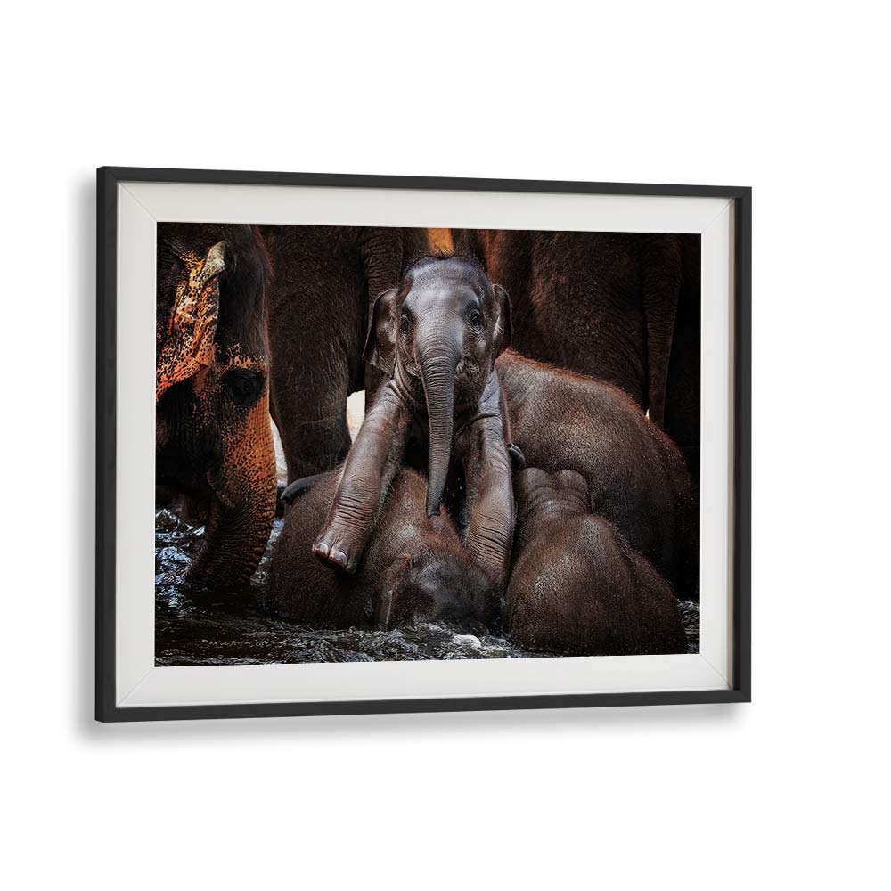 Captivating elephant family scene in THE LITTLE PRINCE, PHOTOGRAPHY PRINTS collection celebrates wildlife beauty.