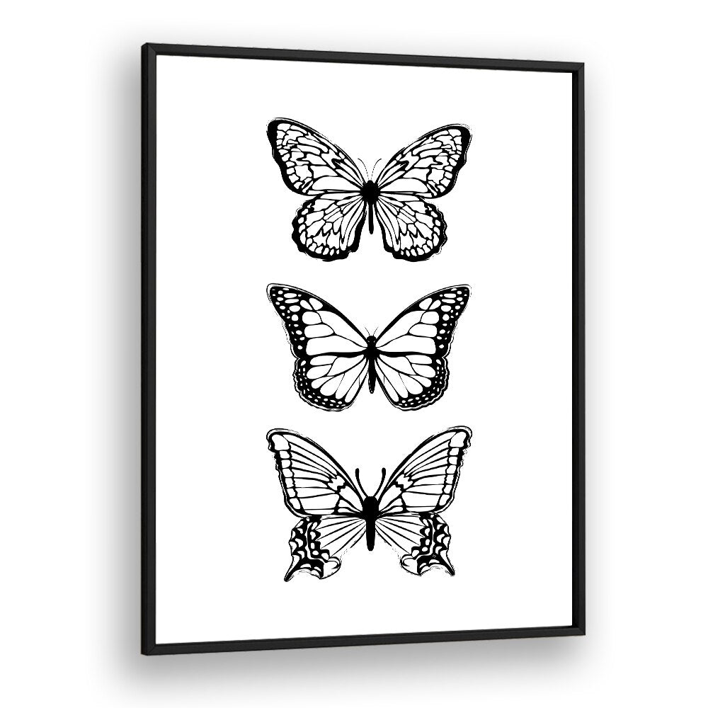 Stunning BLACK BUTTERFLIES, FASHION POSTERS by Martina in a sleek black frame, perfect for enhancing your decor.