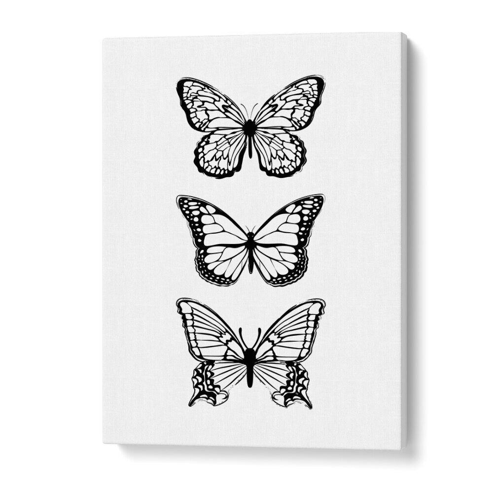 Elegant BLACK BUTTERFLIES, FASHION POSTERS by Martina enhance your space, showcasing stunning butterfly designs.