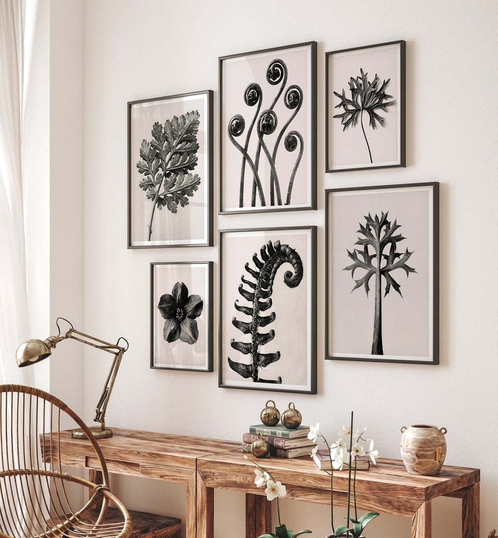 Transform your space with the BLACK & BEIGE BOTANICA GALLERY WALL of elegant botanical art prints.