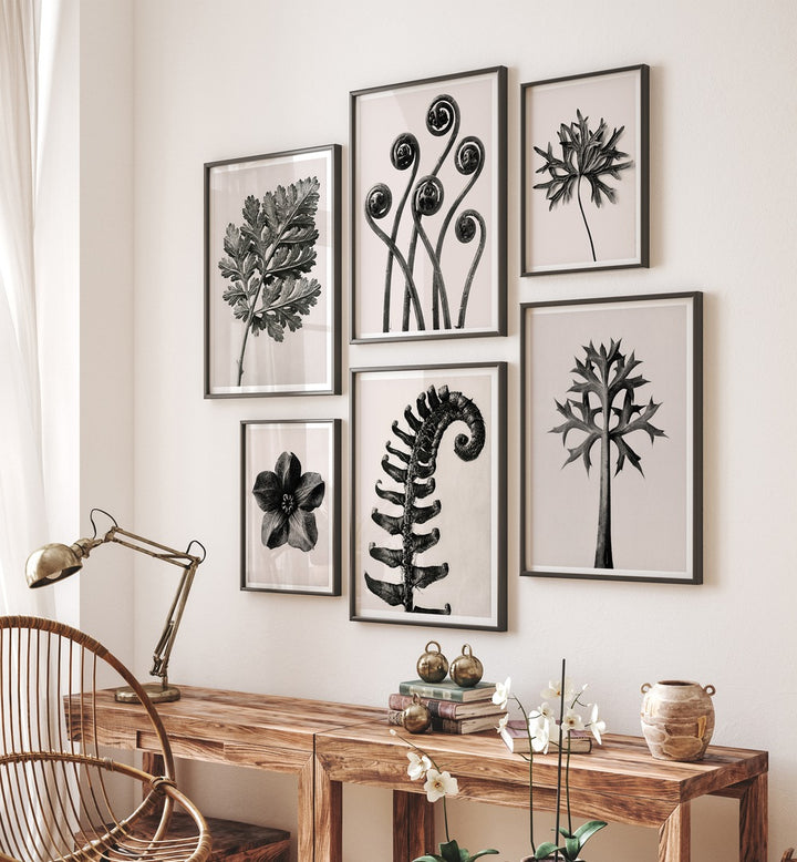 Transform your space with the BLACK & BEIGE BOTANICA GALLERY WALL of elegant botanical art prints.