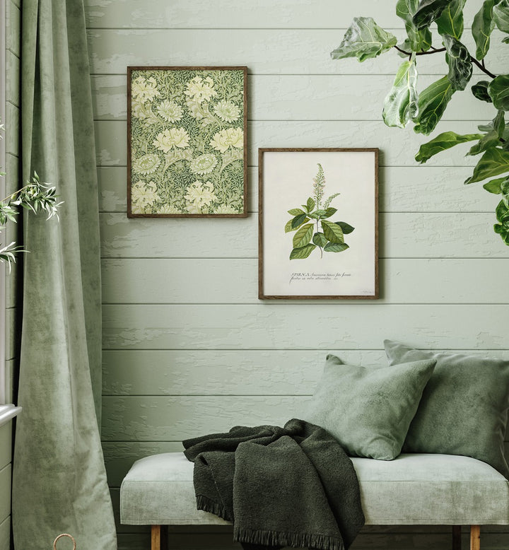Elevate your space with the BOTANICAL GREENS GALLERY WALL art from Asianmonk, perfect for stylish gallery walls.