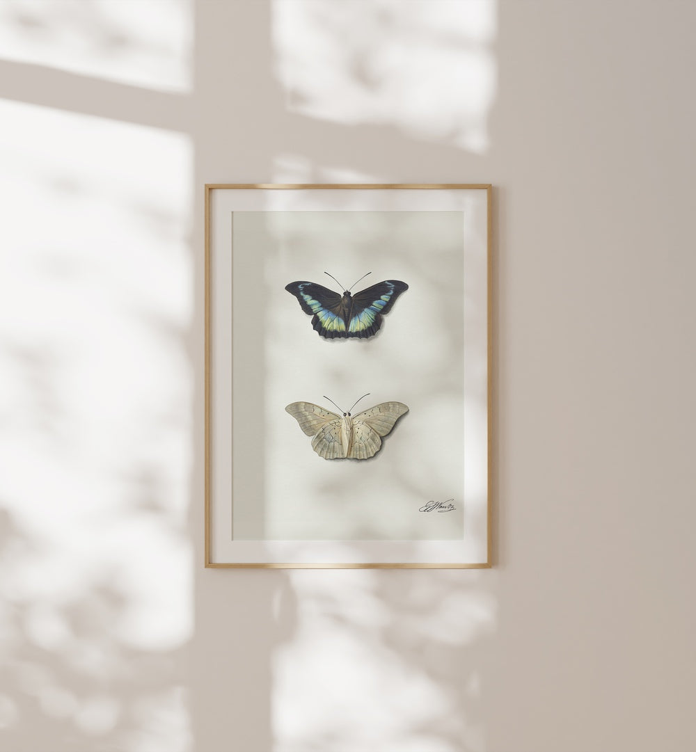 Framed butterflies in the BOTANICAL X GALLERY WALL enhance living room decor with vibrant colors and elegance.