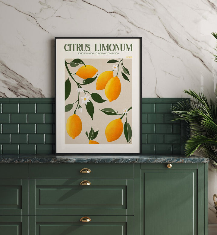 CITRUS LIMONUM, FLORAL FLOWER PAINTINGS showcase vibrant lemons and blossoms, perfect for enhancing your space's decor.