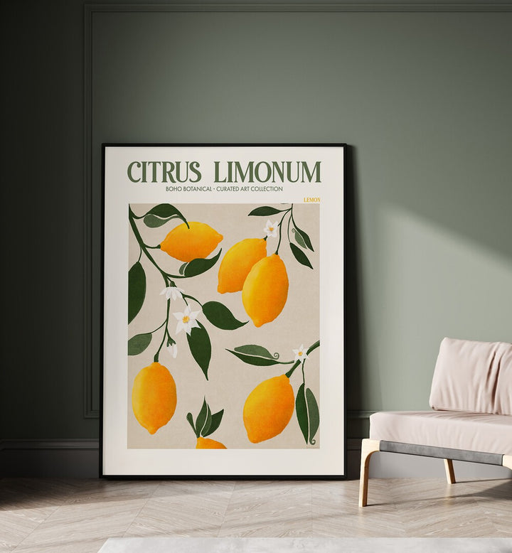 CITRUS LIMONUM, FLORAL FLOWER PAINTINGS showcase vibrant lemons and blossoms, perfect for any boho-inspired space.