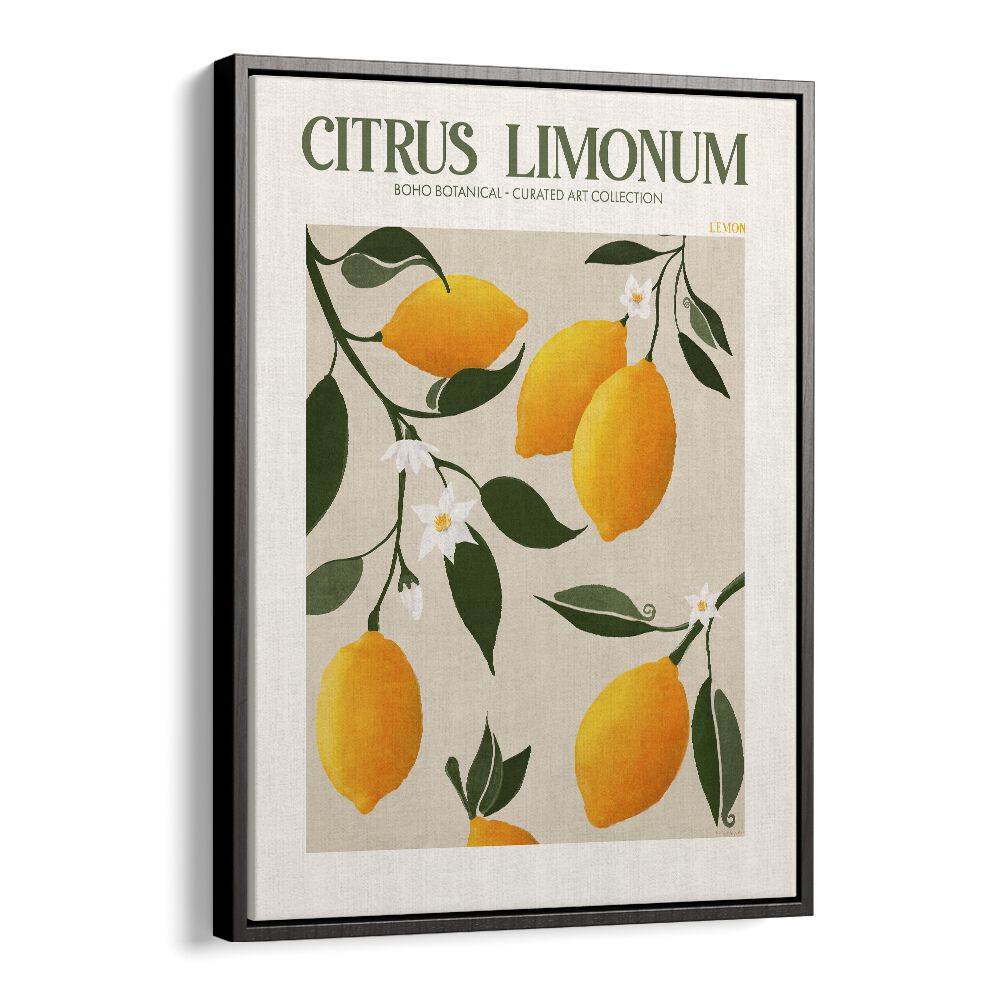 CITRUS LIMONUM, FLORAL FLOWER PAINTINGS showcasing vibrant lemons and blossoms in a stylish black floater frame.