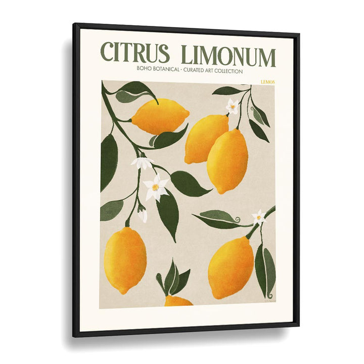 CITRUS LIMONUM, FLORAL FLOWER PAINTINGS showcase vibrant lemons and delicate flowers in a chic black frame. Perfect for decor.