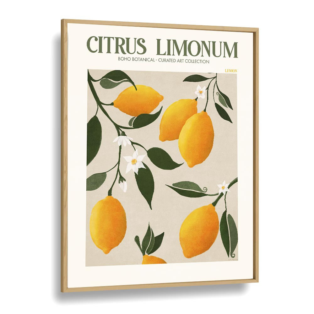 CITRUS LIMONUM, FLORAL FLOWER PAINTINGS showcasing vibrant lemons and blossoms in a chic frame by Emel Tunaboylu.