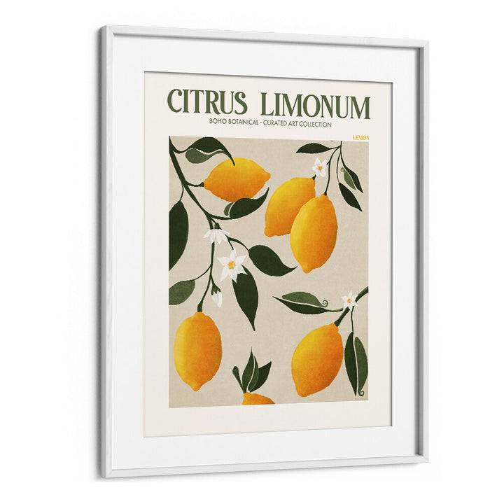 CITRUS LIMONUM, FLORAL FLOWER PAINTINGS in a white frame, showcasing vibrant lemons and blossoms by Emel Tunaboylu.