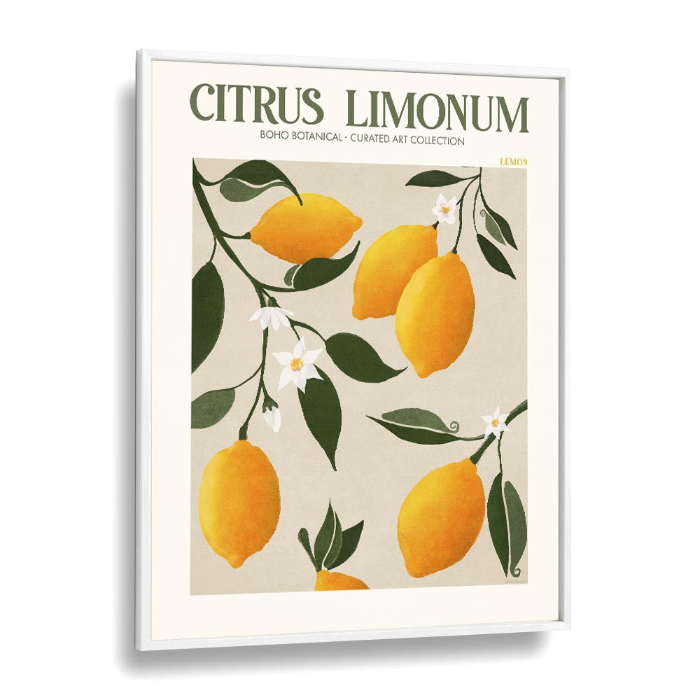 CITRUS LIMONUM, FLORAL FLOWER PAINTINGS showcase vibrant lemons and delicate flowers, perfect for your botanical decor.