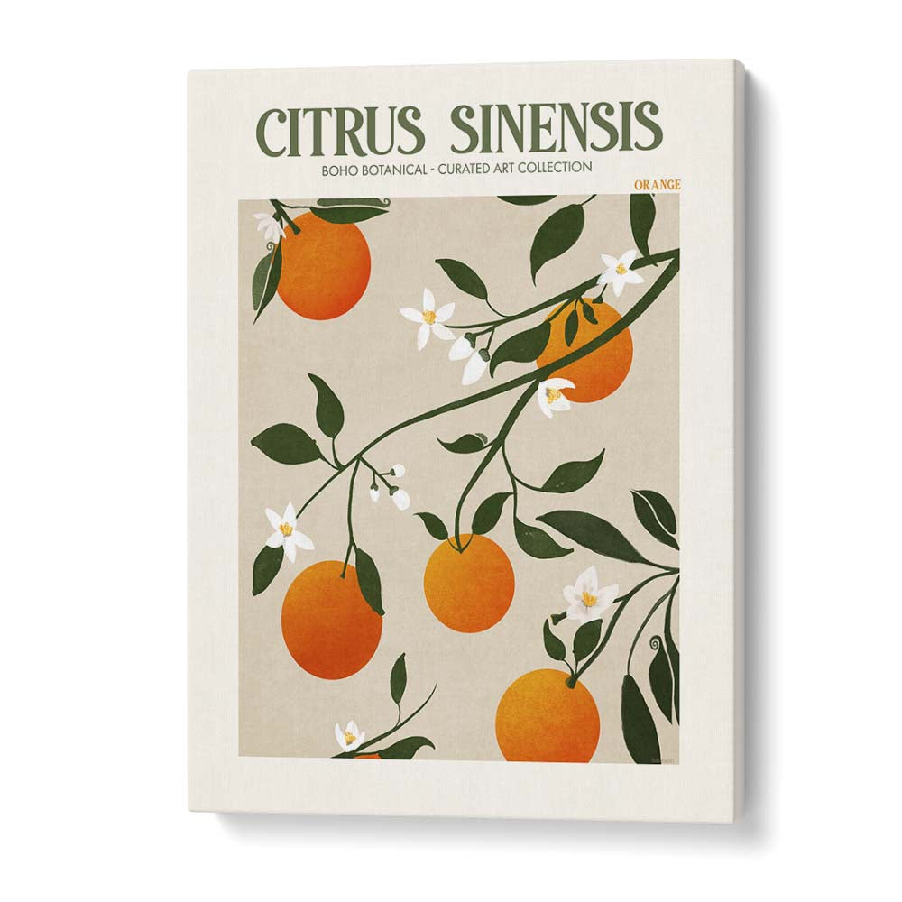 CITRUS SINESIS, FLORAL FLOWER PAINTINGS by Emel Tunaboylu, showcasing vibrant oranges and blossoms on canvas.