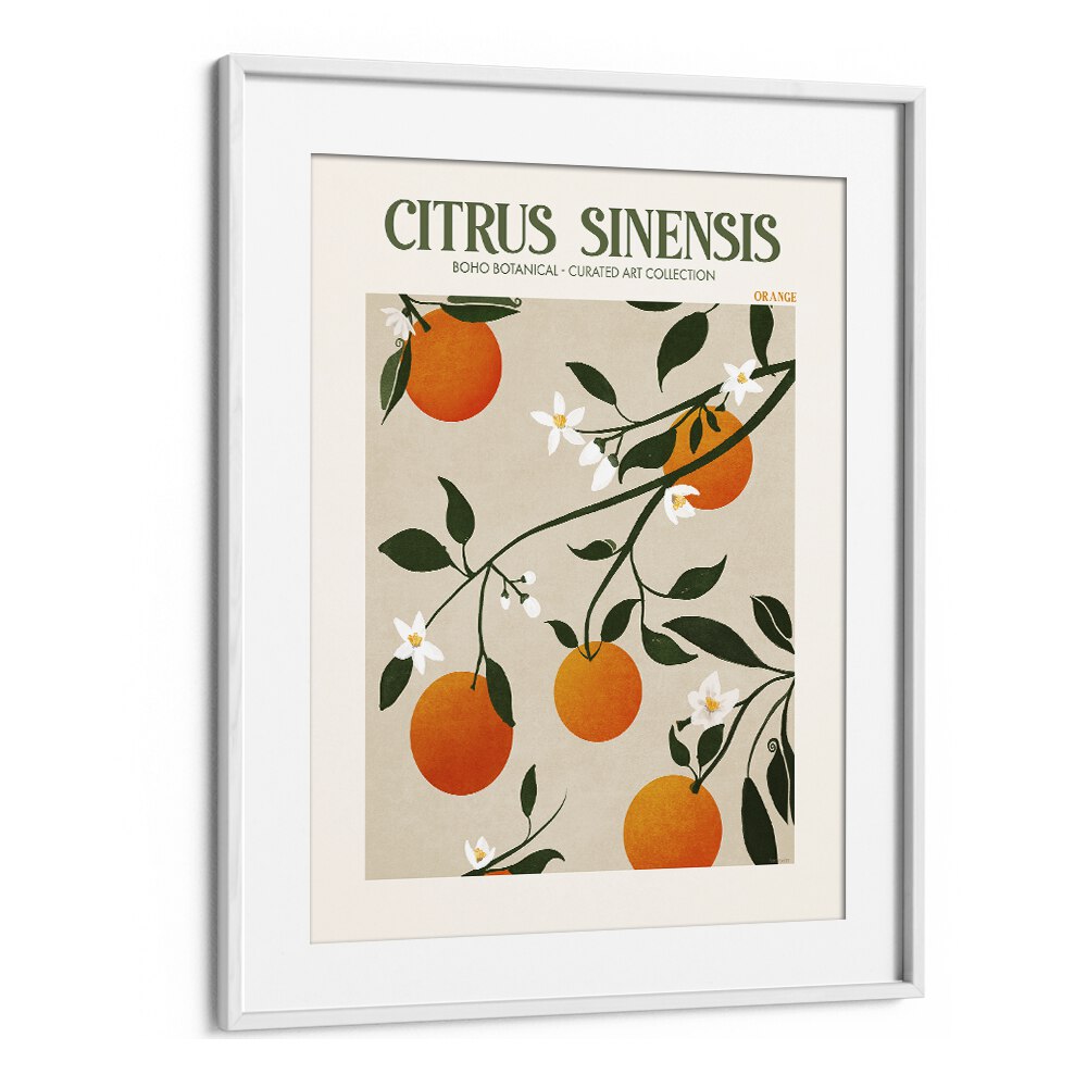 CITRUS SINESIS, FLORAL FLOWER PAINTINGS in a stylish white frame, enhancing any space with elegance and charm.