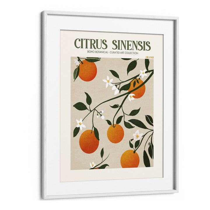 CITRUS SINESIS, FLORAL FLOWER PAINTINGS in a stylish white frame, enhancing any space with elegance and charm.