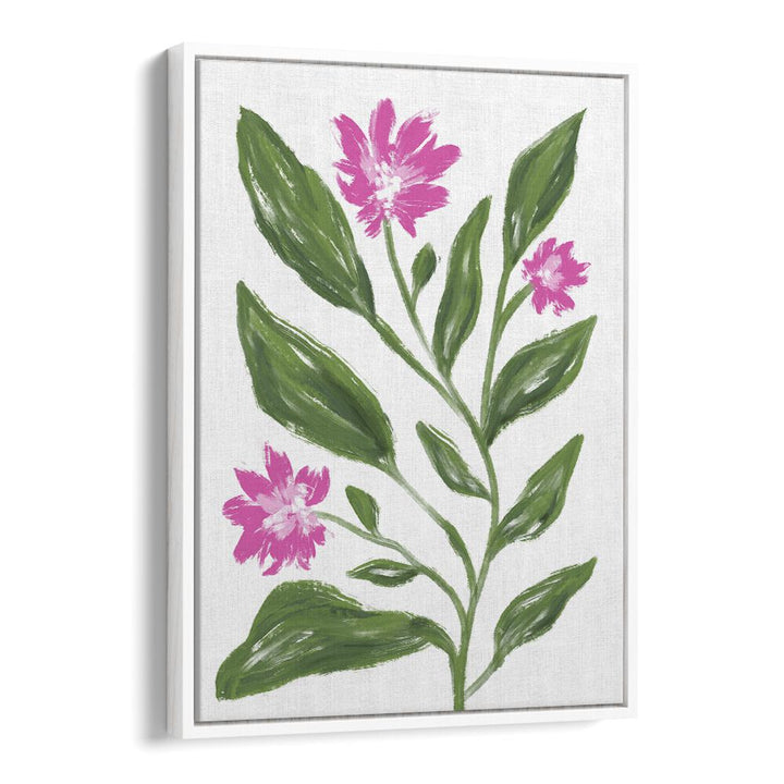 Bright pink Corn Flower botanical painting by Martina, perfect for floral flower paintings enthusiasts.