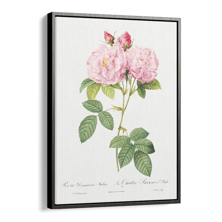 Elegant pink roses in the ELEGANZA FLOREALE, FLORAL FLOWER PAINTINGS, perfect for enhancing your space's beauty.