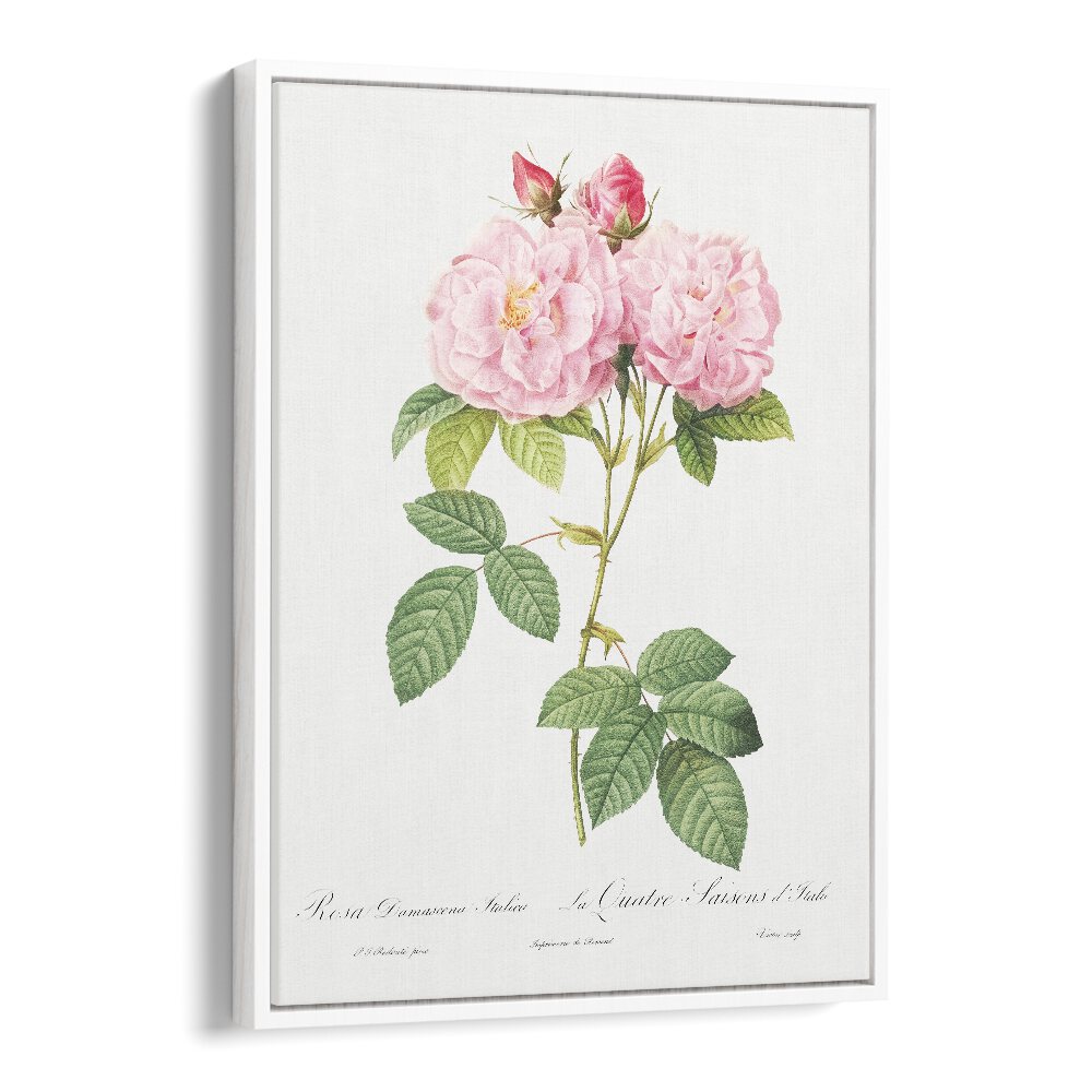Stunning ELEGANZA FLOREALE, FLORAL FLOWER PAINTINGS featuring delicate pink roses in a white floater frame. Perfect decor!