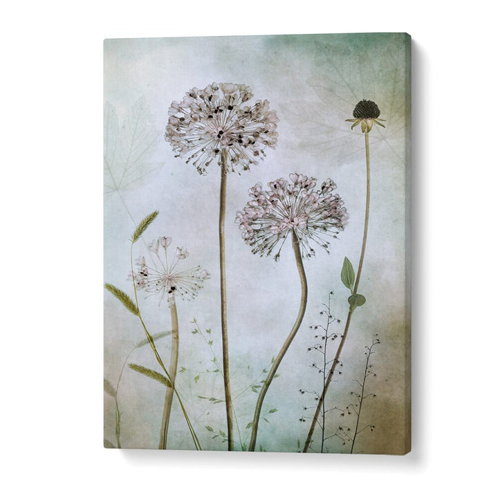 Elegant ALLIUM, FLORAL FLOWER PAINTINGS enhance home decor with their sophisticated allure and artistic charm.