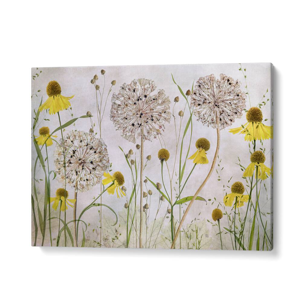 Vibrant ALLIUMS AND HELENIUMS, FLORAL FLOWER PAINTINGS perfect for enhancing your garden decor.