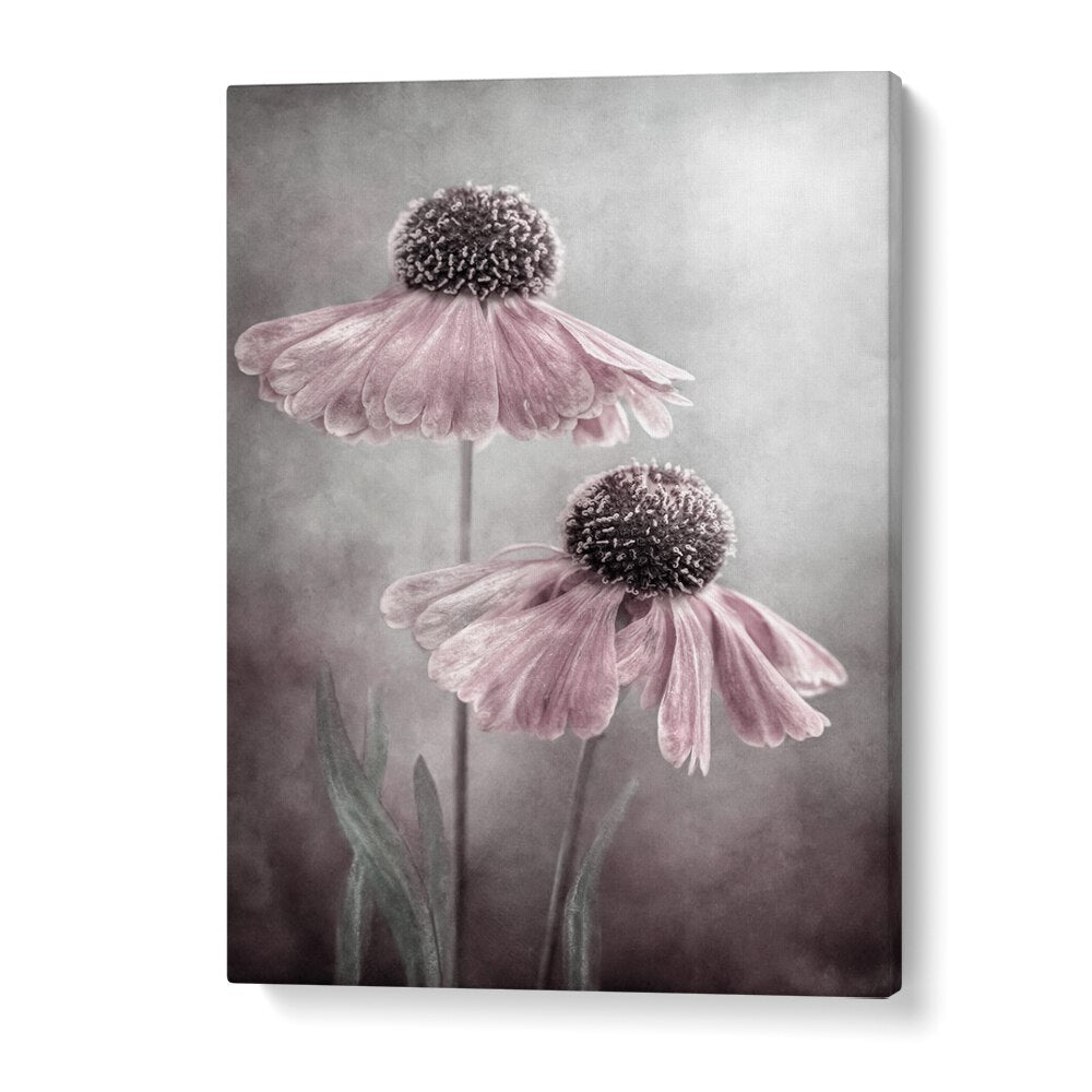 Elegant DUET, FLORAL FLOWER PAINTINGS featuring soft pink blooms, perfect for premium home decor.