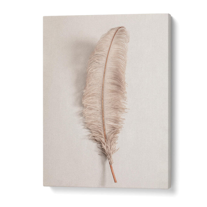 Elegant FEATHER II, BOHO ART PAINTINGS showcasing a soft feather against a neutral background, perfect for stylish decor.