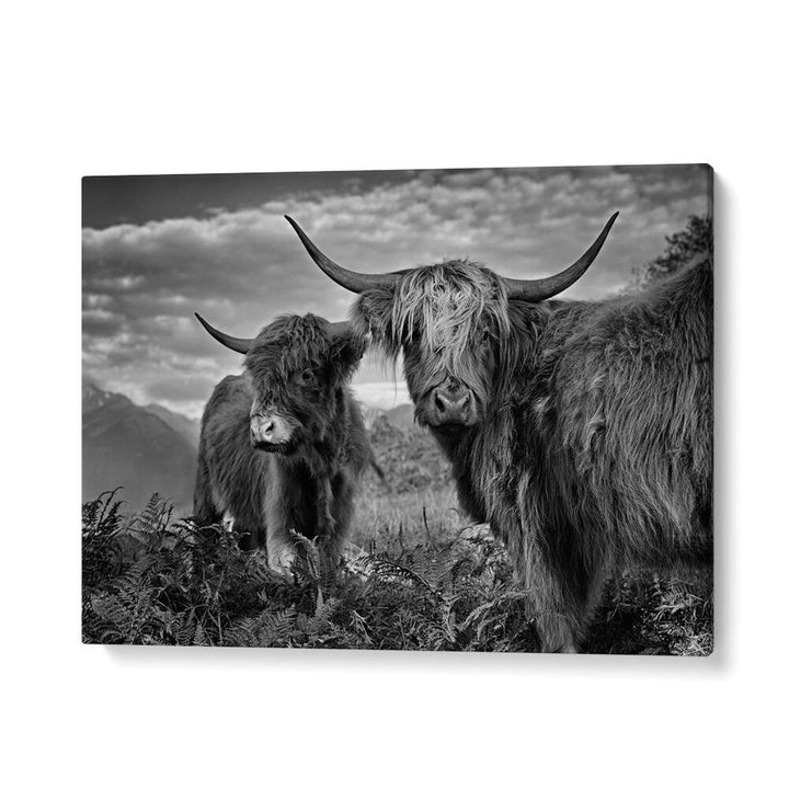 FRIENDS , PHOTOGRAPHY PRINTS