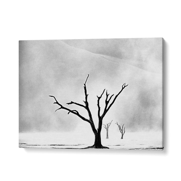 NAMIBIA - THE SPIRIT OF WILDERNESS I , PHOTOGRAPHY PRINTS