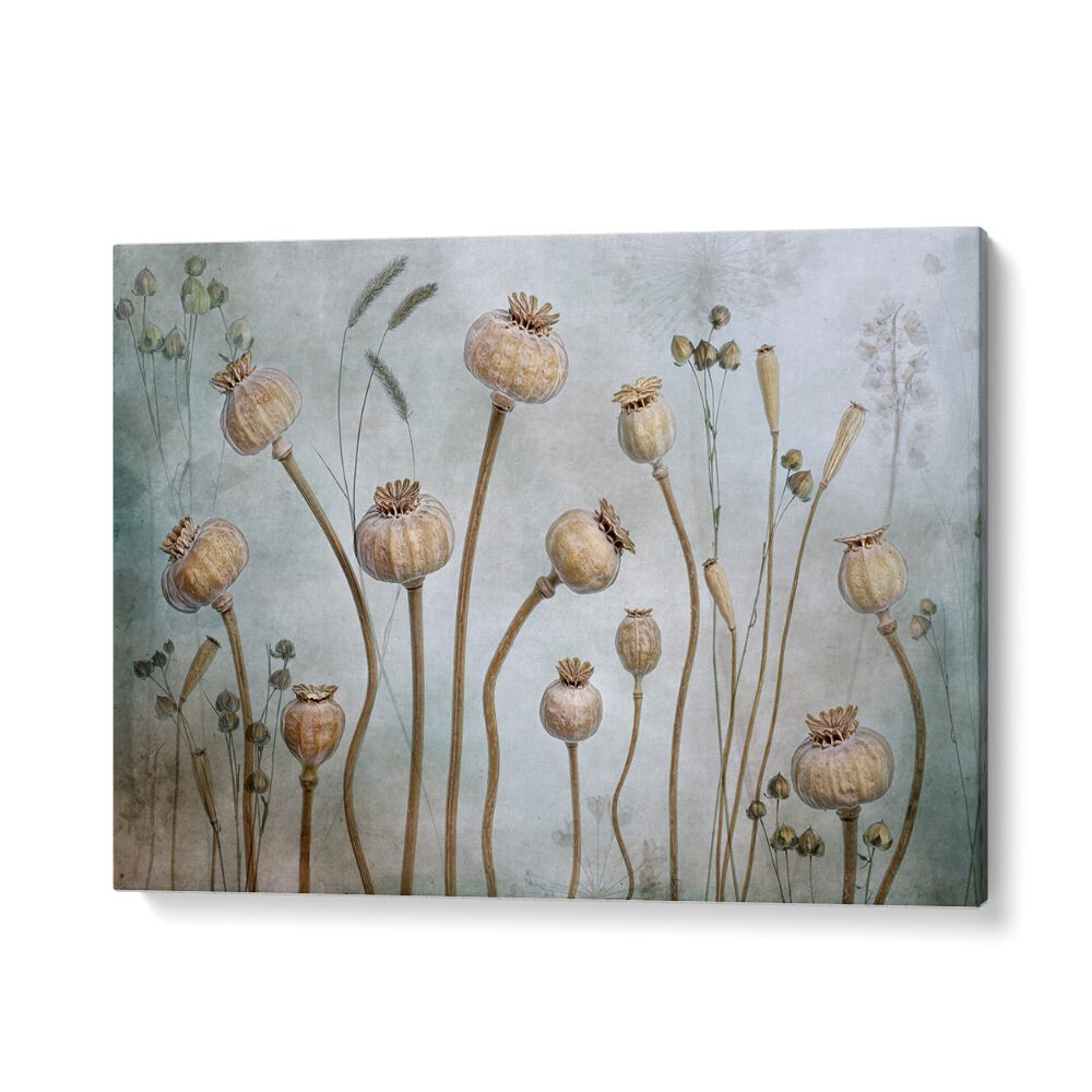 Elegant PAPAVER, FLORAL FLOWER PAINTINGS featuring unique floral designs, perfect for sophisticated home decor.
