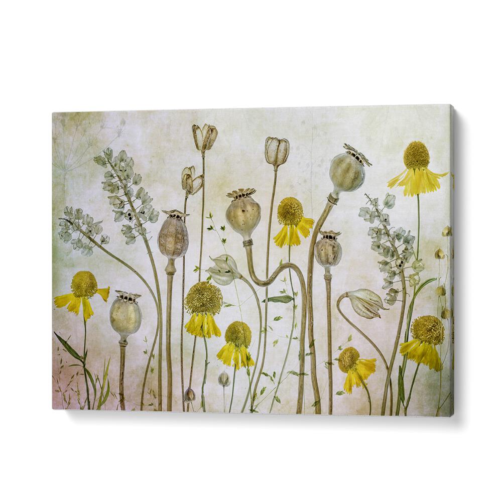 Vibrant Poppies and Helenium floral flower paintings, perfect for home decor and special events.