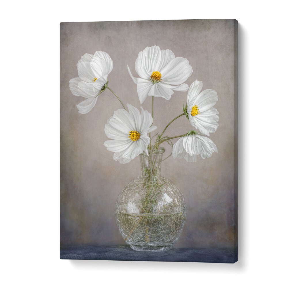 Elegant white flowers in a vase, showcasing SIMPLY COSMOS, FLORAL FLOWER PAINTINGS for a stylish touch to any space.