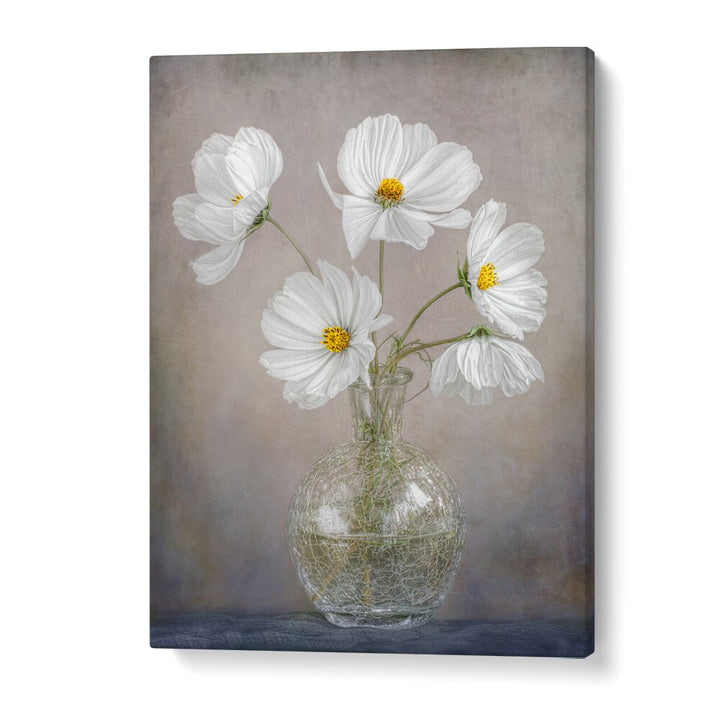 Elegant white flowers in a vase, showcasing SIMPLY COSMOS, FLORAL FLOWER PAINTINGS for a stylish touch to any space.